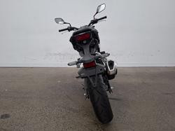 2024 Honda CB300R ABS (CBF300NA) Black