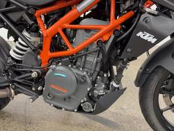 2024 Ktm 390 DUKE Grey