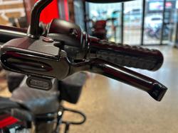 2021 Harley-Davidson Low Rider S 114 (FXLRS) Softail Black