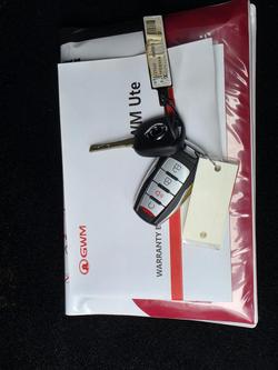 2022 GWM Ute Cannon-L
