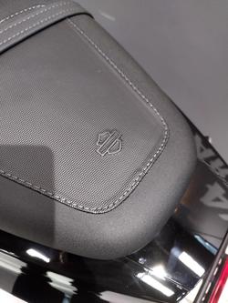 2024 Harley-Davidson X 350 X Black