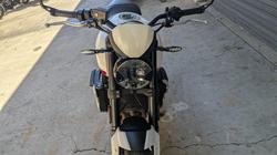 2021 Triumph TRIDENT 660 White