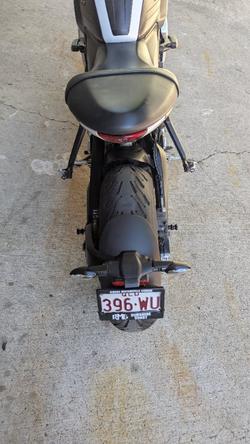 2021 Triumph TRIDENT 660 White