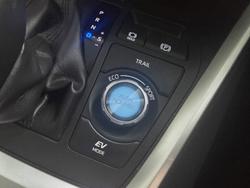 2022 Toyota RAV4 Cruiser