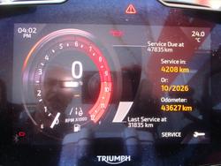 2022 Triumph TIGER 1200 RALLY PRO WHITE