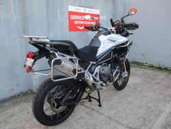 2022 Triumph TIGER 1200 RALLY PRO WHITE