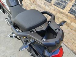 2026 TRIUMPH TIGER 1200 DESERT EDITION ROAD CRYSTAL WHITE