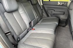 2025 Denza B5 Leopard