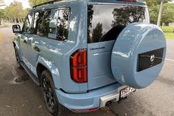 2025 Denza B5 Leopard