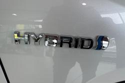 2024 Toyota RAV4 Cruiser