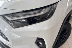 2024 Toyota RAV4 Cruiser