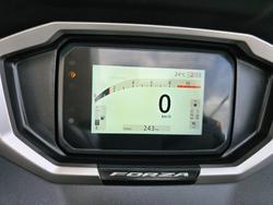 2025 HONDA FORZA 350 (NSS350A) GREY