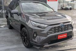 2022 Toyota RAV4 Cruiser