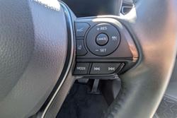 2022 Toyota RAV4 Cruiser