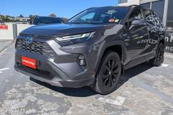 2022 Toyota RAV4 Cruiser