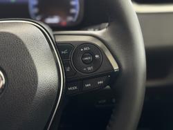 2024 Toyota RAV4 Cruiser