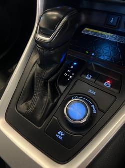 2020 Toyota RAV4 Cruiser