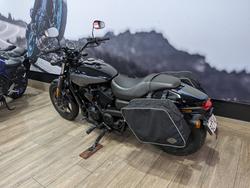 2020 HARLEY-DAVIDSON XG500 STREET 500 Black