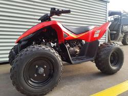 2024 CFMOTO CForce 110 CForce Red