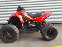 2024 CFMOTO CForce 110 CForce Red