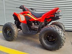 2024 CFMOTO CForce 110 CForce Red