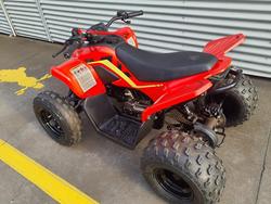 2024 CFMOTO CForce 110 CForce Red