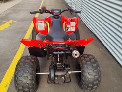 2024 CFMOTO CForce 110 CForce Red