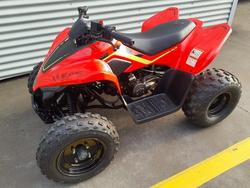 2024 CFMOTO CForce 110 CForce Red