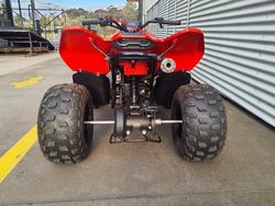 2024 CFMOTO CForce 110 CForce Red