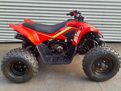 Cfmoto Cforce 110