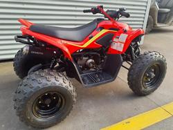2024 CFMOTO CForce 110 CForce Red