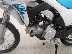 2026 Honda CRF110F White