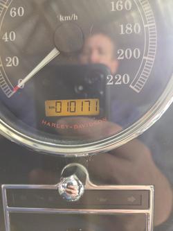 2015 Harley-Davidson Softail Deluxe 1690 (FLSTN)