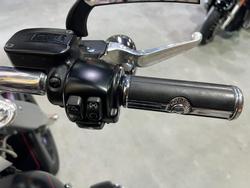 2020 HARLEY-DAVIDSON FLFBS FAT BOY (114)