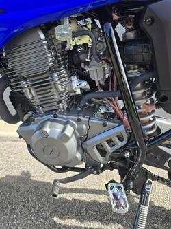 2026 Yamaha TT-R230 TT-R Blue