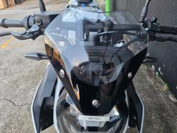 2022 BMW S 1000 R SILVER