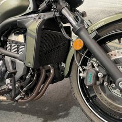 2019 Kawasaki VULCAN S (EN650D LAMS) Green