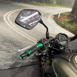 2019 Kawasaki VULCAN S (EN650D LAMS) Green