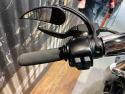 2019 HARLEY-DAVIDSON FLFBS FAT BOY (114)