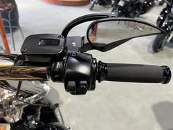 2019 HARLEY-DAVIDSON FLFBS FAT BOY (114)
