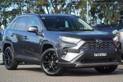2025 Toyota RAV4 Cruiser