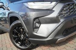 2025 Toyota RAV4 Cruiser