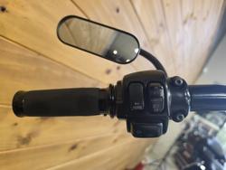 2006 HARLEY-DAVIDSON FXSTI SOFTAIL