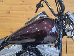 2006 HARLEY-DAVIDSON FXSTI SOFTAIL