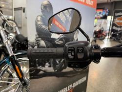 2025 Harley-Davidson Breakout 117 (FXBR)