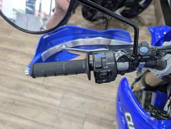 2024 Yamaha WR250F BLUE