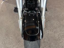 2019 HARLEY-DAVIDSON FLFBS FAT BOY (114)