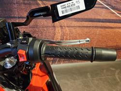 2022 Aprilia Tuono 660 LAMS Tuono Black