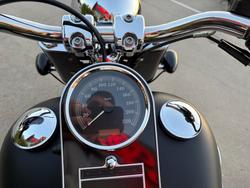 2010 HARLEY-DAVIDSON FLSTFB FAT BOY LO