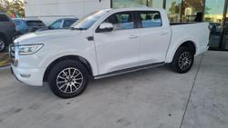 2021 GWM Ute Cannon